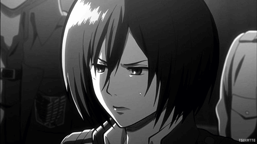 Mikasa 21 Amazing Gif's | Anime Amino