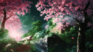 Cherry Blossoms | Anime Amino