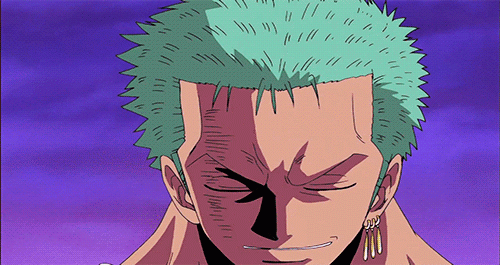Roronoa Zoro | Anime Amino