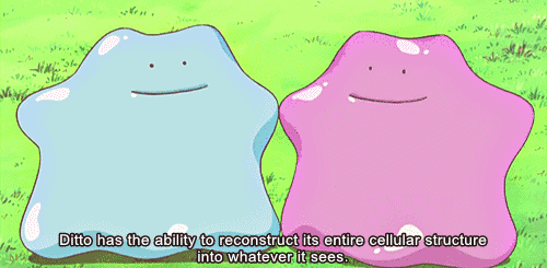 Can Ditto Transform Into Humans?