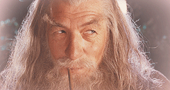 b09905a3d55b8d07f9319d18631329ef74634d0f_00.gif