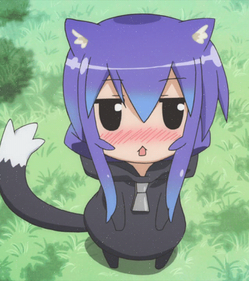 1c390d454af87952a57683da5643d11010affc03_hq.gif