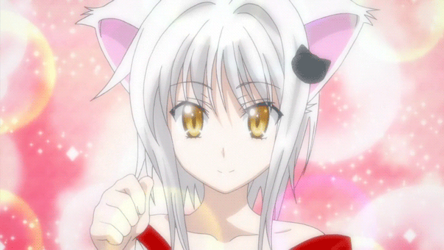 Anime cat girl gif