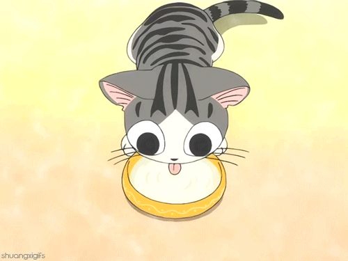 Chi The Cat! | Anime Amino