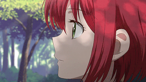 Snow White with the Red Hair | Anime Amino