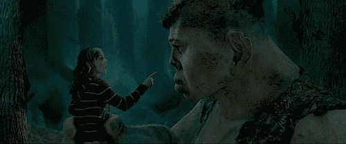 Image result for grop gif harry potter