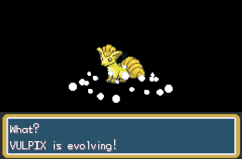 Pokemon emerald casino reel time