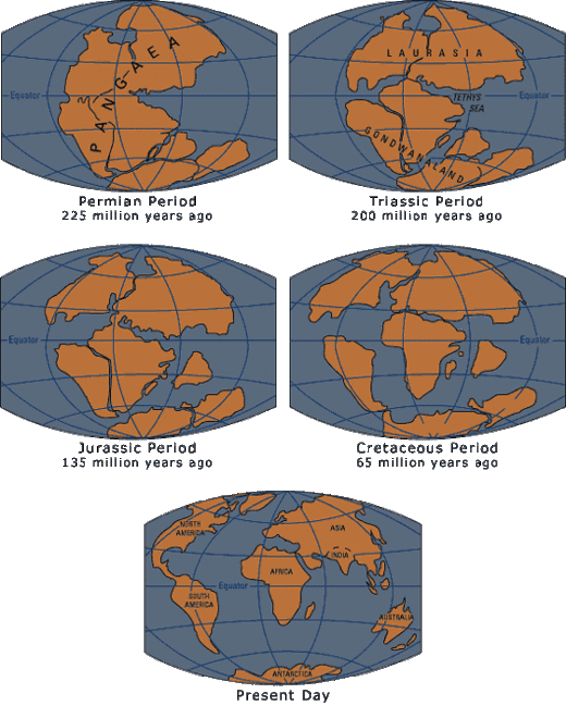 Pangea | Science Amino