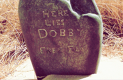 Výsledek obrázku pro dobby grave