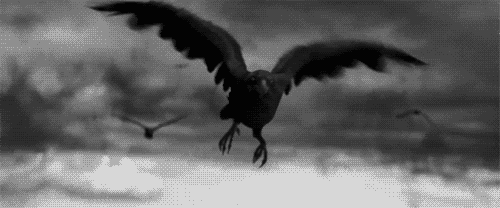 23df51dcc2cb9d38cf21c5f49ad0c0d4639fbeeb_hq.gif
