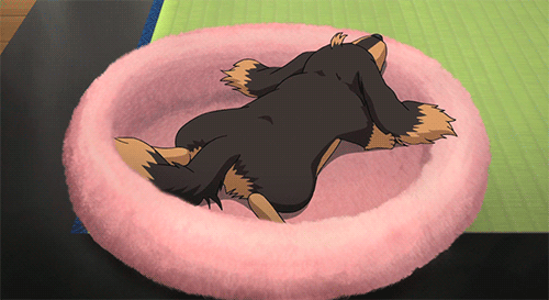 RotW #37 - Dog x Scissors | Anime Amino