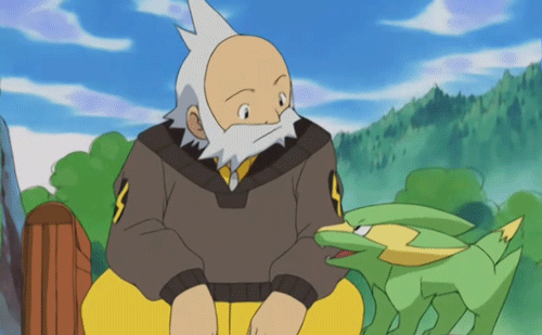 2018 FCRB × WTAPS ZEBBRA GYM SUCK BK Clubs That Suck -> Rate the Pokemon Gym Leaders