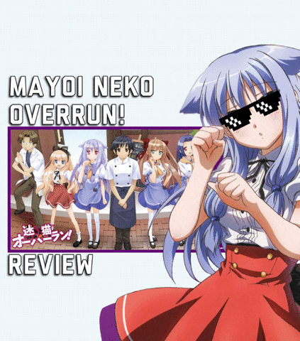 Mayoi Neko Overrun Episode 10 Animeseason
