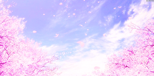 Cherry Blossom Tree Anime Gif / Cherry Blossoms Japan GIF