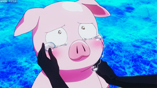 Image result for anime amino gif pig
