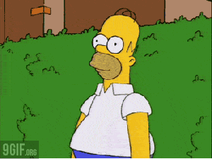 f462f45c535c8eb55fb9fa15ae0074b4e7d5bc35_hq.gif