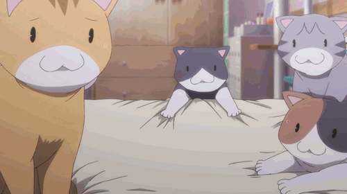super sonico cat
