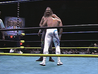 ac2e2896a2999de999ecc80f21cc78e9abaf9c6b_00.gif