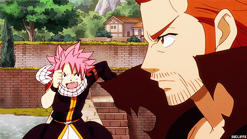 fairy tail 256 english dubbed
