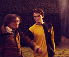 What House Is For Better For Cedric Diggory Harry Potter Amino