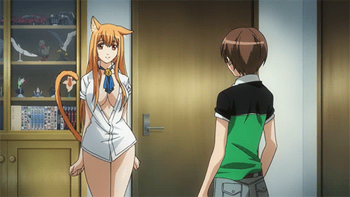 TOP 10 MEJORES ANIME ECCHI | •Anime• Amino