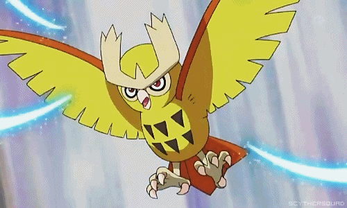 What is a Shiny Noctowl?
