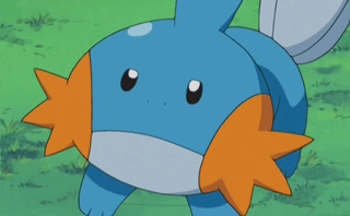 mudkip sitting cutie