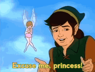 Excuse Me Princess Legend Of Zelda