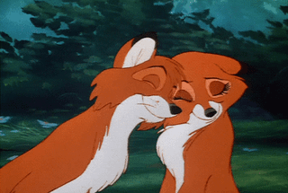 http://pa1.narvii.com/6286/7ac91b9112054087da33ce09ef78f9f37f0bcd41_00.gif