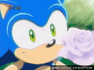 Sonic gifs part one | Wiki | Sonic the Hedgehog! Amino