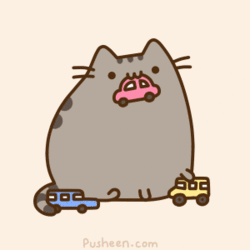 pusheen gigante