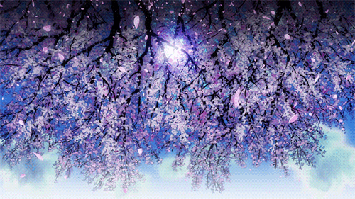 Cherry blossom gif | Anime Amino