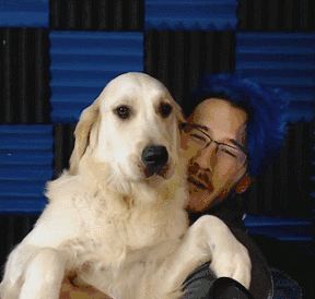 markiplier dogs