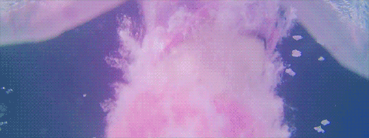 Resultado de imagem para f(x) 4 walls gif