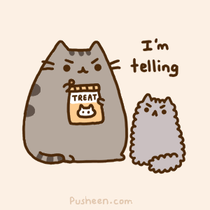 stormy pusheen