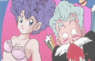 Muten Roshi | Wiki | Anime Amino