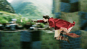 Resultado de imagem para filme harry potter gif quadribol