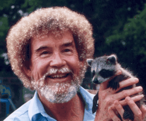 bob ross with raccoon