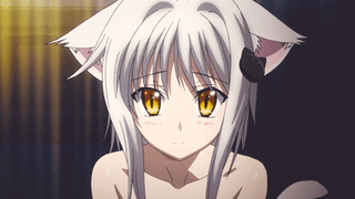 highschool dxd koneko statue