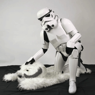steve the stormtrooper