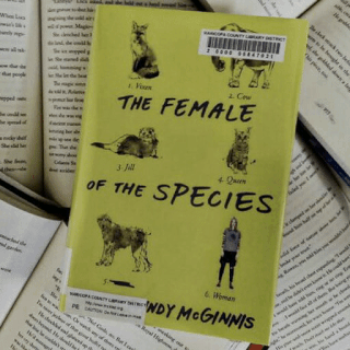 female of the species mindy mcginnis