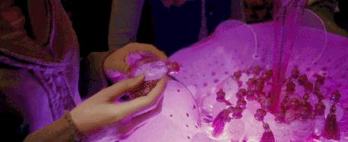 project x love potion disaster .gif