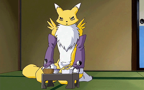 Correct Response To Rule 34 In Digimon Digimon Amino 9667