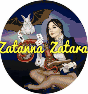 نتیجه تصویری برای zatanna amino gif