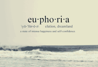 euphoria meaning in urdu