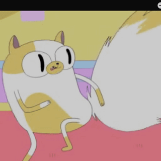 🐱 Cake the Cat 🐱 | Wiki | Adventure Time Amino Amino