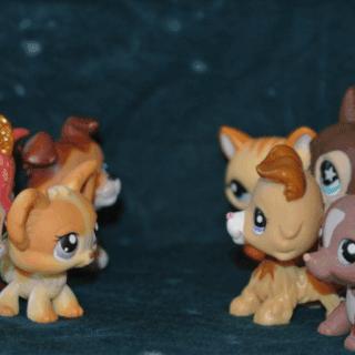 lps chihuahua numbers