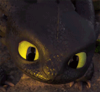 Doing a toothless gif edit | H.T.T.Y.D Amino