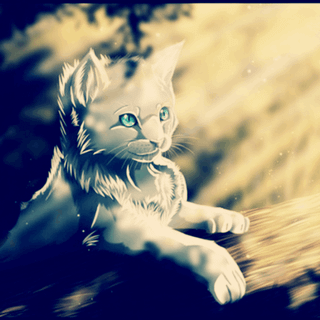 Интересные Факты о КВ° • ° | `°Коты Воители Новая Жизнь°` Amino