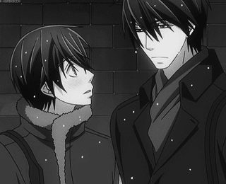 Junjou romantica | Wiki | Art Boys Love Amino